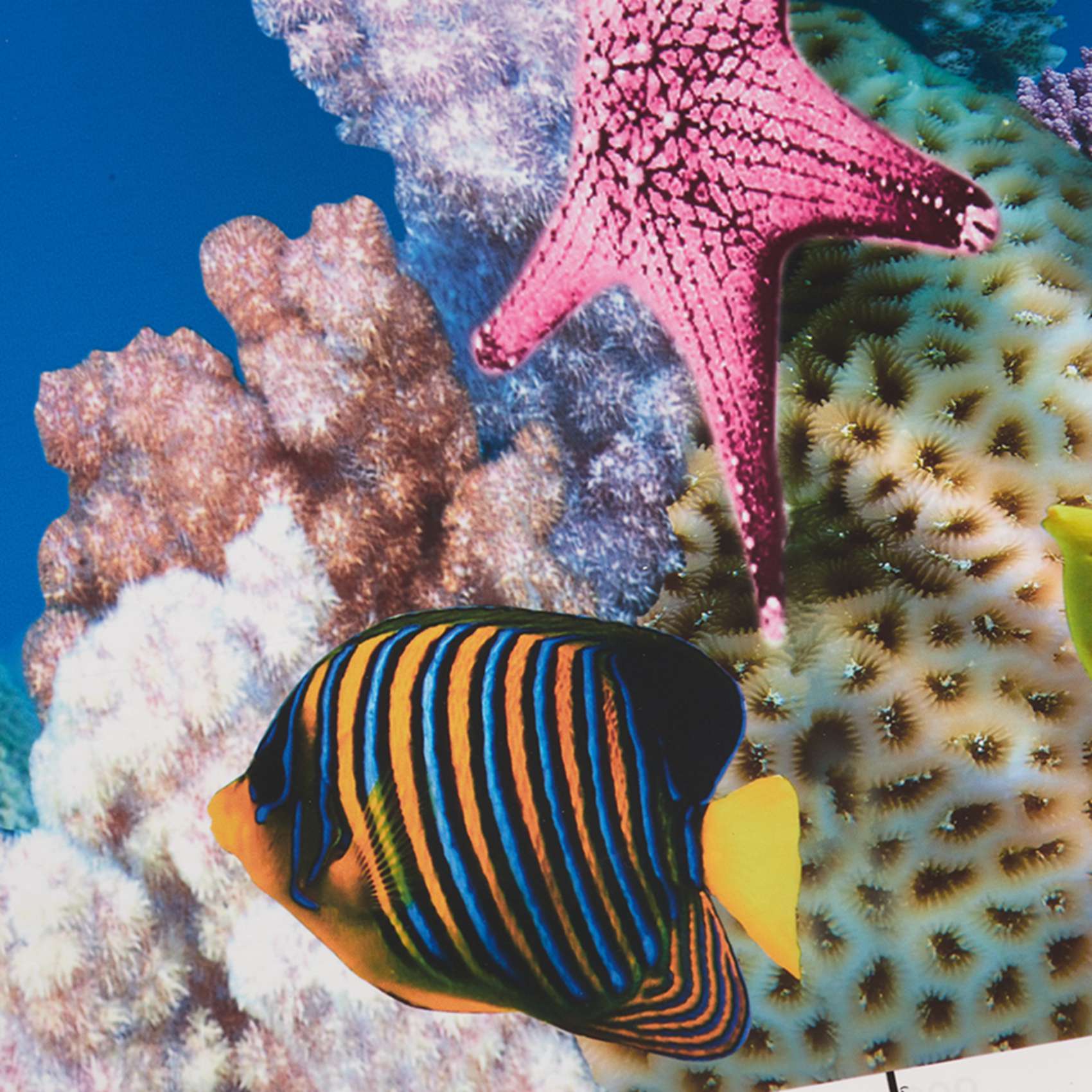 Aquarium Fish Wallpaper Hd - ABWR-Aquarium Hintergrundpapier HD-Bild 7D Dreidimensionale Fischbecken-Tapete
