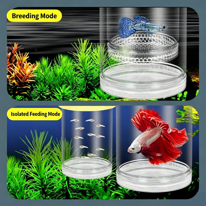 Aquarium Fish Medicine - Transparente Schwimmende Aquarium-Brutbox, Multifunktionaler Fischzucht-Separator für