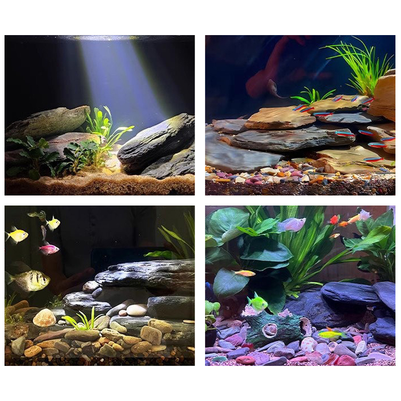 500/1000g Aquarium-Landschafts – Aquarium Fish Saltwater Bewertung und Preis