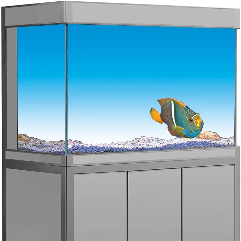 Aquarium-Hintergrundaufkleber, – Aquarium Fish Wallpaper Hd Bewertung und Preis