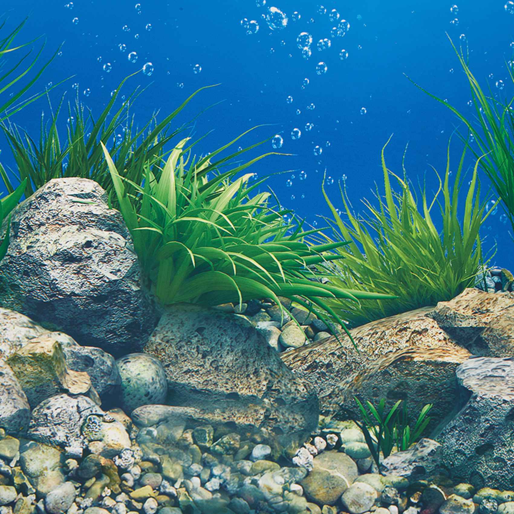 ABWR-Aquarium Hintergrundpapie – Aquarium Fish Wallpaper Hd Bewertung und Preis