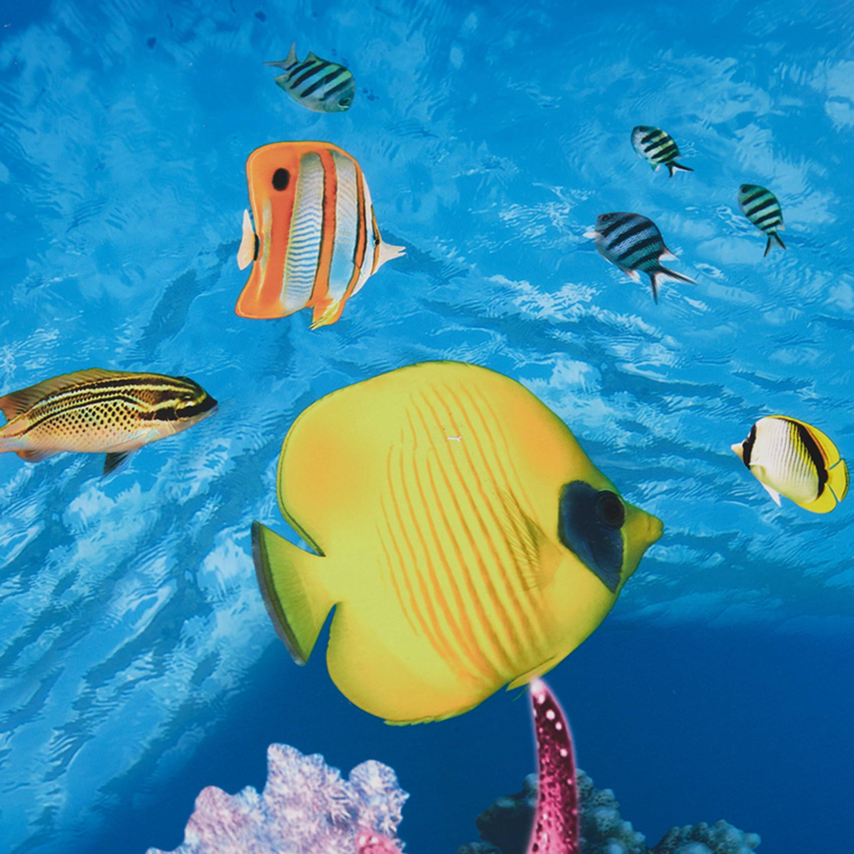ABWR-Aquarium Hintergrundpapie – Aquarium Fish Wallpaper Hd Bewertung und Preis