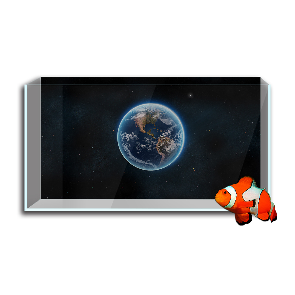 Aquarium Aquarium Hintergrund  – Aquarium Fish Wallpaper Hd Bewertung und Preis