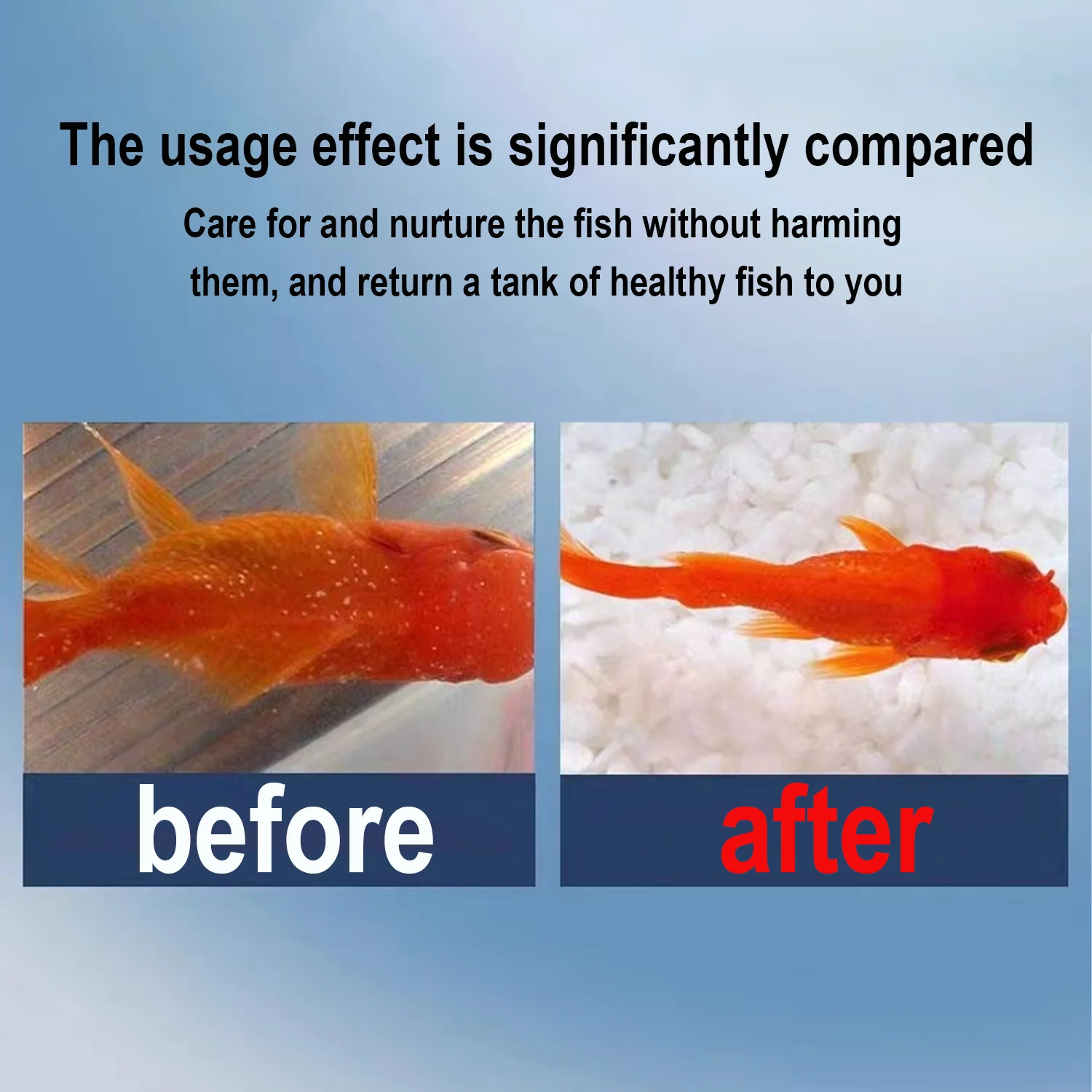 Premium-Methylen-Blauwisch-Med – Aquarium Fish Medicine Bewertung und Preis