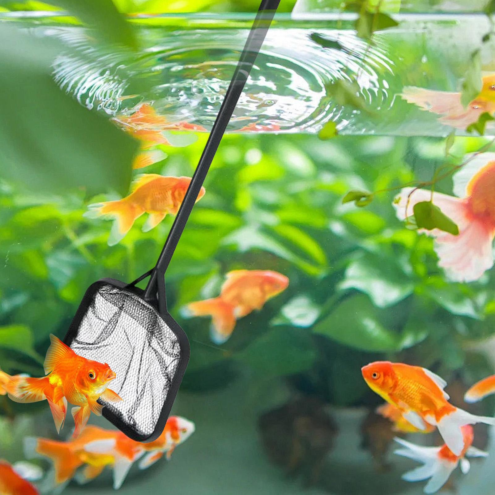 Poolnetze zur Reinigung, tragb – Aquarium Fish Maintenance Bewertung und Preis