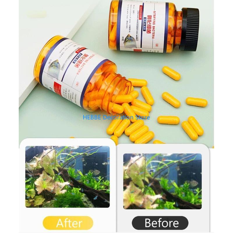 B0KC 30/80 Stcs Nitrifizing -B – Aquarium Fish Medicine Bewertung und Preis