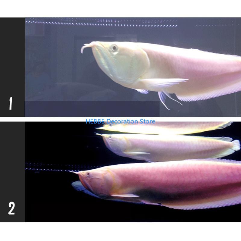 B0KC 30/80 Stcs Nitrifizing -B – Aquarium Fish Medicine Bewertung und Preis