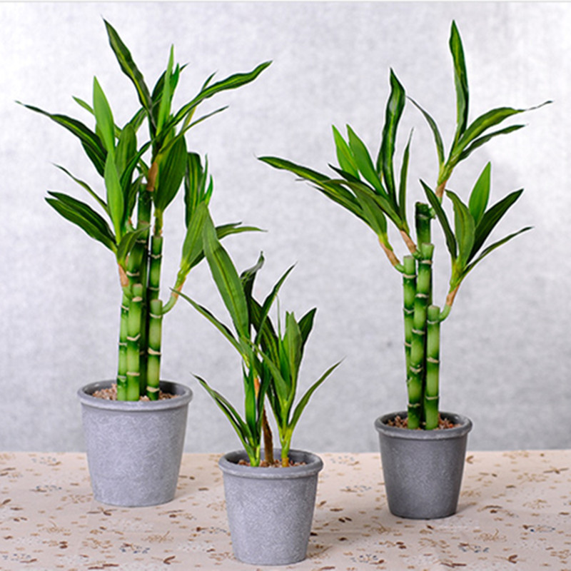Neue 40 cm rFtificial Lucky Ba – Aquarium Fish Saltwater Bewertung und Preis