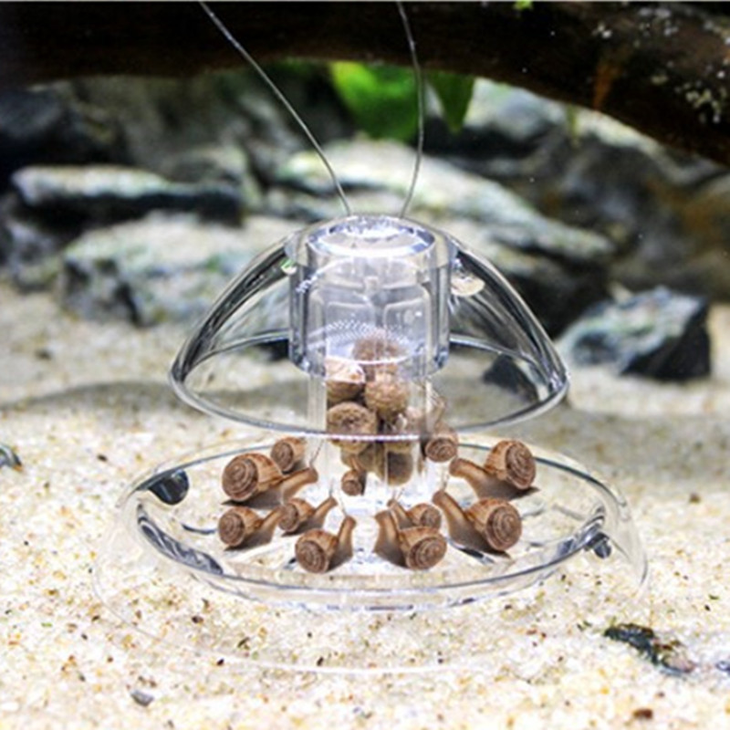 1 Stück Aquarium Aquarium Rein – Aquarium Fish Maintenance Bewertung und Preis