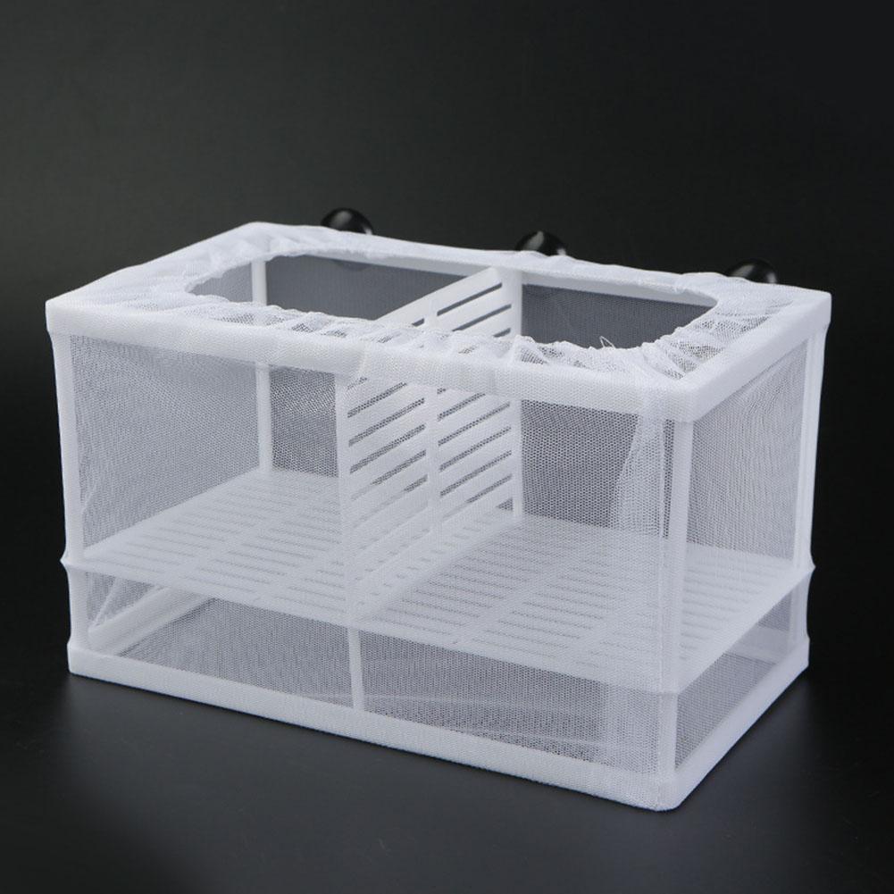 Aquarium-Fischzuchtbox mit Sau – Aquarium Fish Medicine Bewertung und Preis