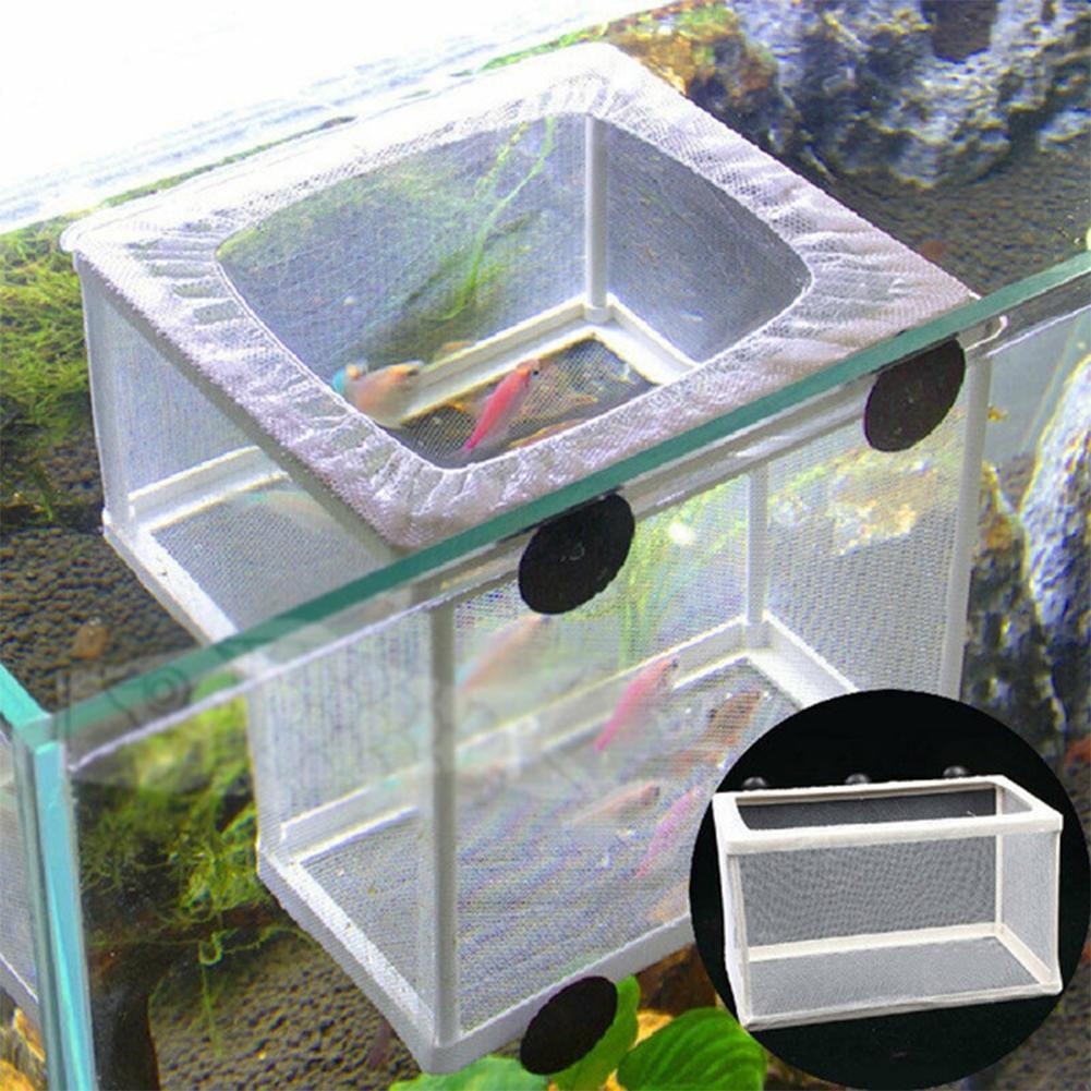 Aquarium-Fischzuchtbox mit Sau – Aquarium Fish Medicine Bewertung und Preis