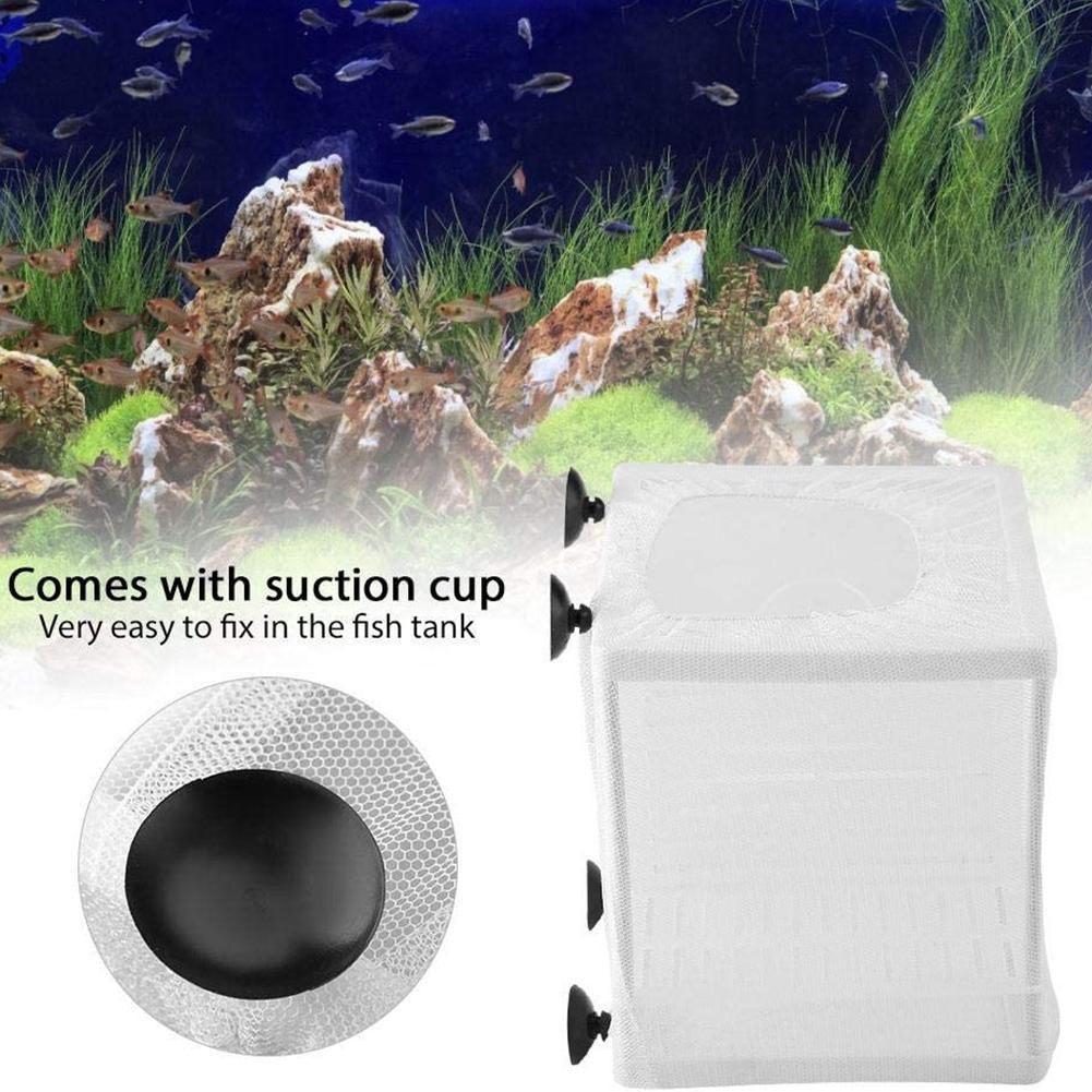 Aquarium-Fischzuchtbox mit Sau – Aquarium Fish Medicine Bewertung und Preis