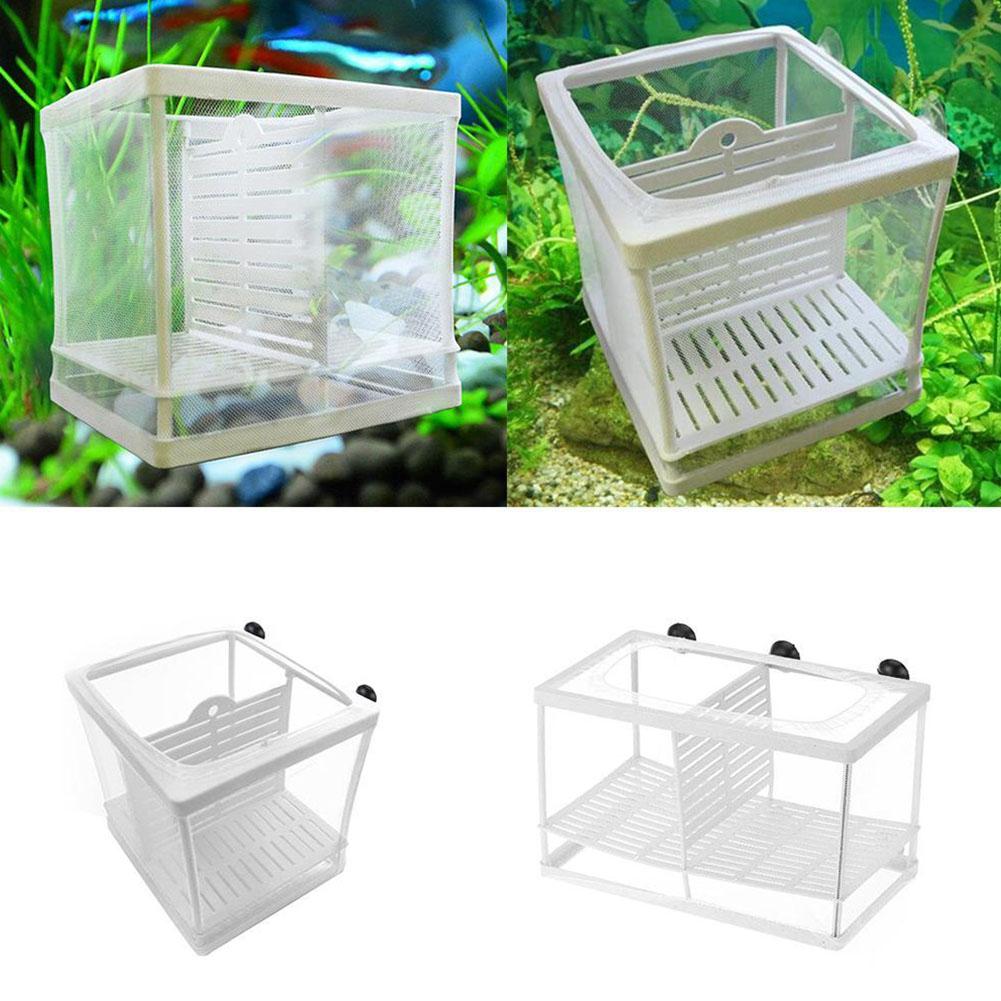 Aquarium-Fischzuchtbox mit Sau – Aquarium Fish Medicine Bewertung und Preis