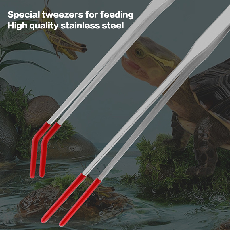 Edelstahl-Wartungswerkzeuge fü – Aquarium Fish Maintenance Bewertung und Preis