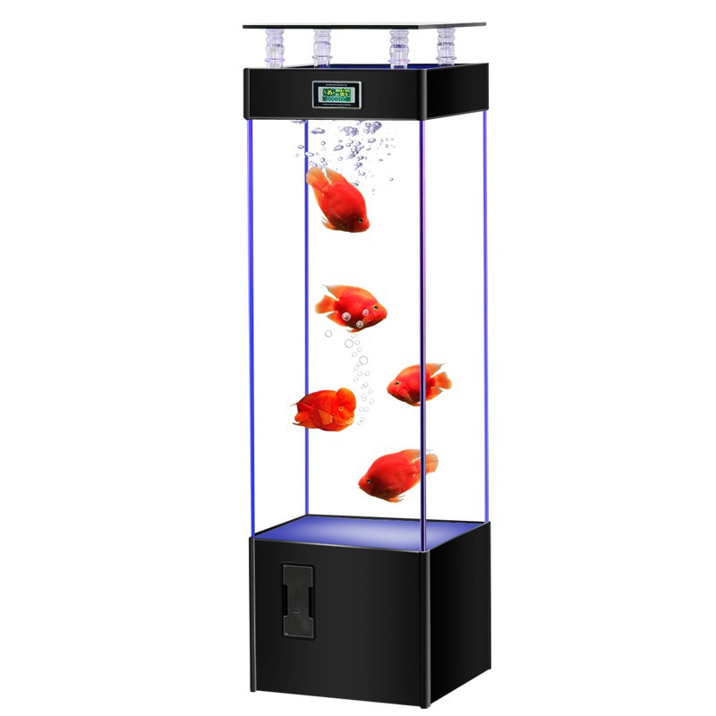 Ultraklarer Glasfischtank, kei – Aquarium Fish Goldfish Bewertung und Preis