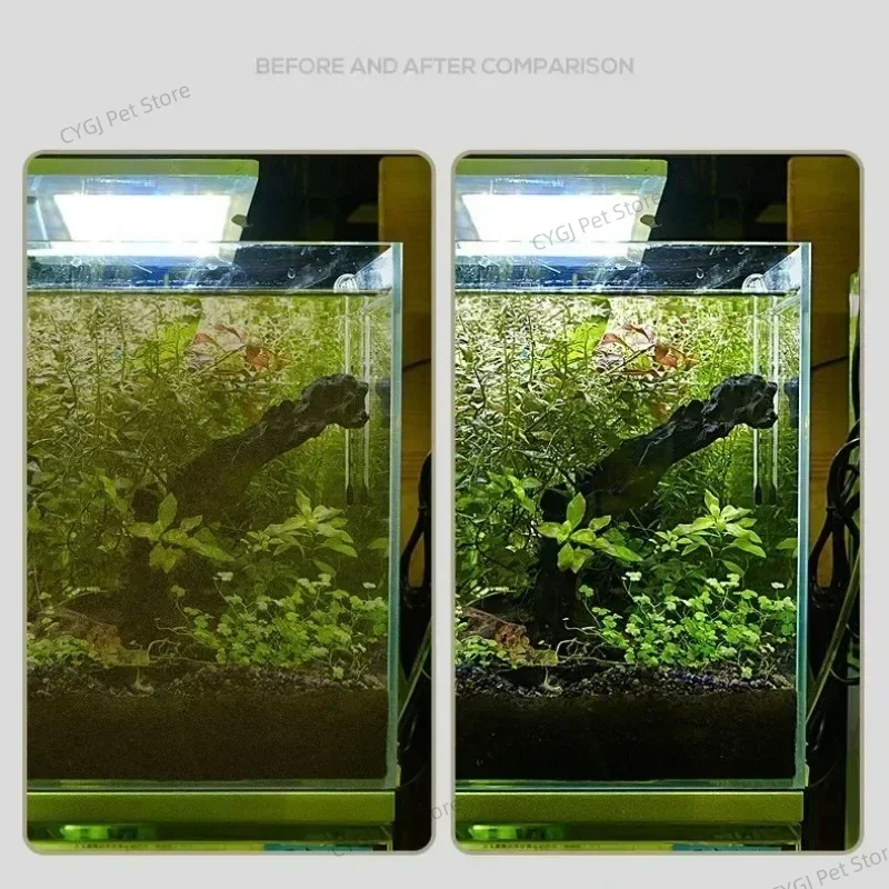 Aquarium Reinigung Werkzeug Fl – Aquarium Fish Maintenance Bewertung und Preis