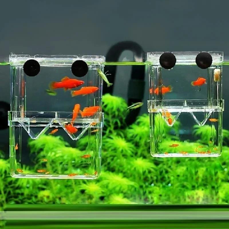 Transparente Fisch Aquarium Ho – Aquarium Fish Medicine Bewertung und Preis