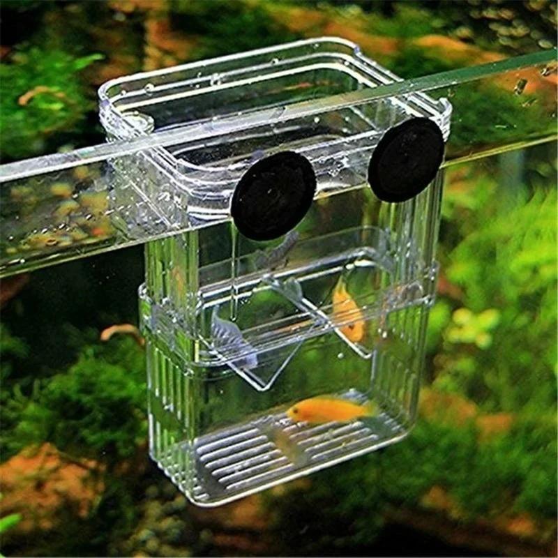 Transparente Fisch Aquarium Ho – Aquarium Fish Medicine Bewertung und Preis