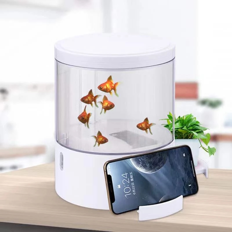 Runde bunte lichter desktop aq – Aquarium Fish Goldfish Bewertung und Preis