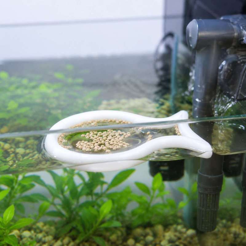 Fischförmiger Schwimmender Fut – Aquarium Fish Medicine Bewertung und Preis