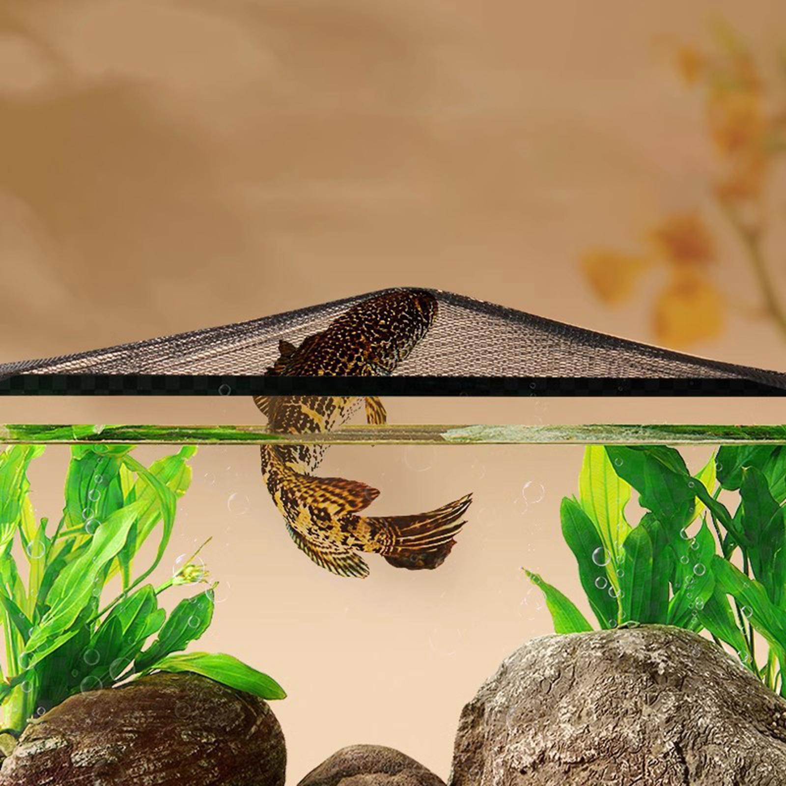 Aquarium-Bildschirm, obere Abd – Aquarium Fish Jump Guard Bewertung und Preis