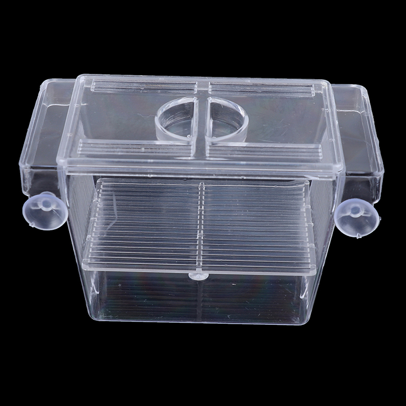 Aquarium Aquarium Guppy Doppel – Aquarium Fish Medicine Bewertung und Preis