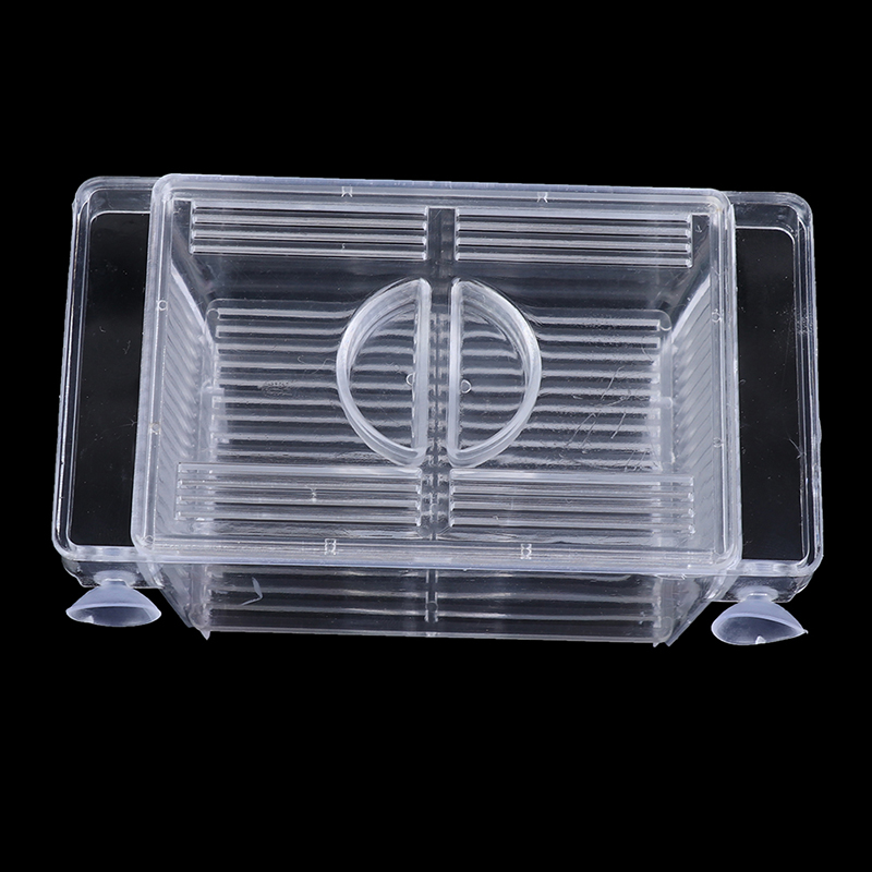 Aquarium Aquarium Guppy Doppel – Aquarium Fish Medicine Bewertung und Preis