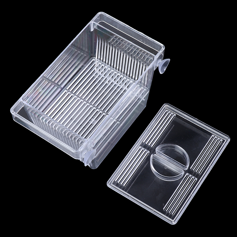 Aquarium Aquarium Guppy Doppel – Aquarium Fish Medicine Bewertung und Preis
