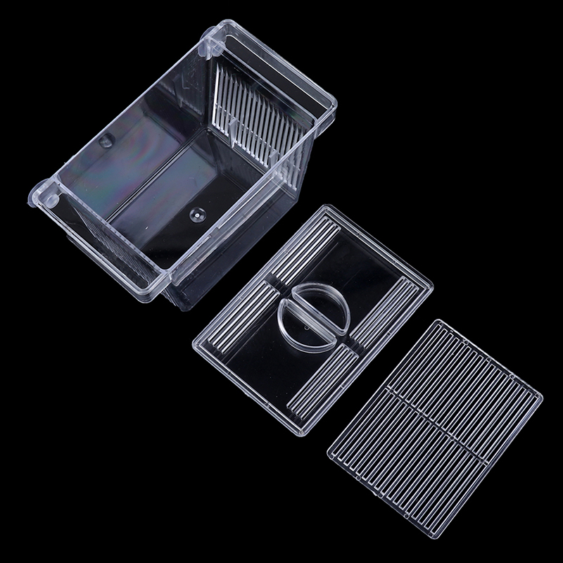 Aquarium Aquarium Guppy Doppel – Aquarium Fish Medicine Bewertung und Preis