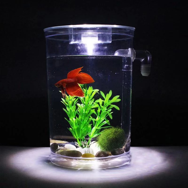 Faul Frei Wasser Ändern Deskto – Aquarium Fish Goldfish Bewertung und Preis