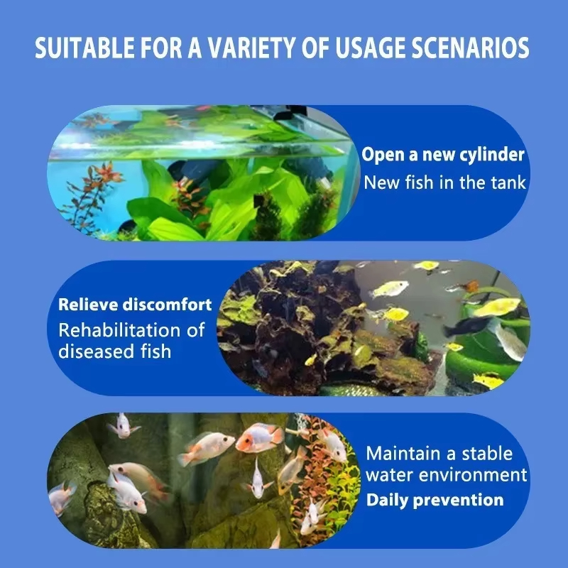 SIKEZHAN Behandlung von Fische – Aquarium Fish Saltwater Bewertung und Preis