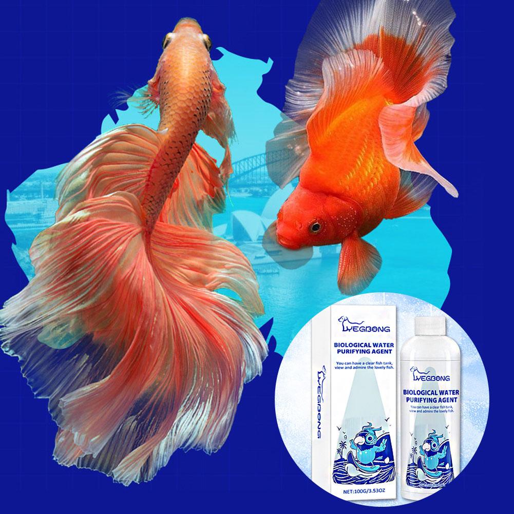 Aquarium-Wasserspülung. Effizi – Aquarium Fish Medicine Bewertung und Preis