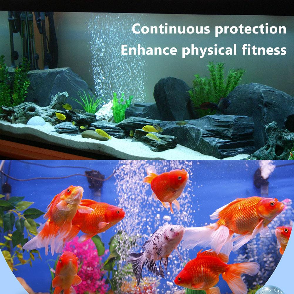 Aquarium-Wasserspülung. Effizi – Aquarium Fish Medicine Bewertung und Preis