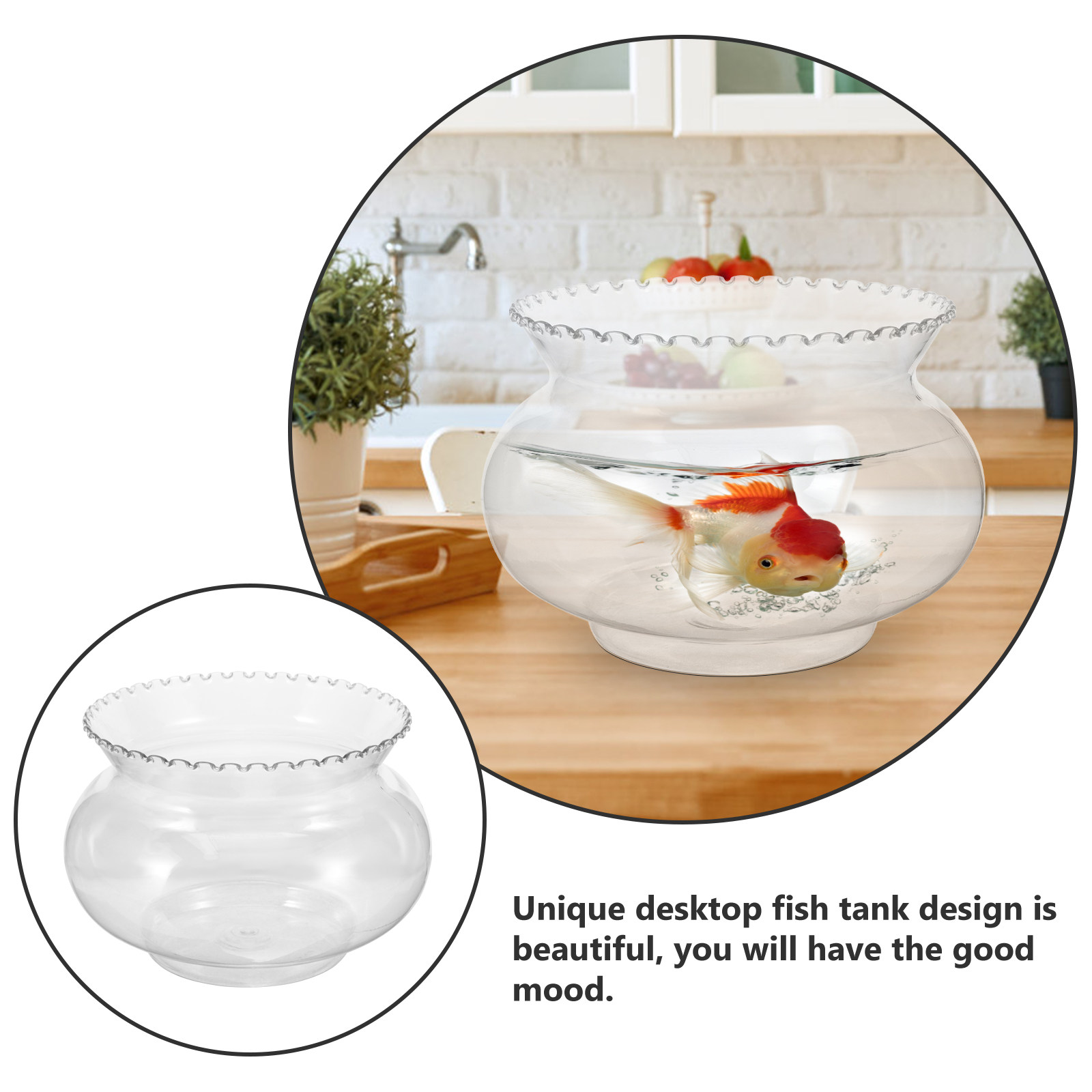Plastik-Tischaquarium Multifun – Aquarium Fish Goldfish Bewertung und Preis