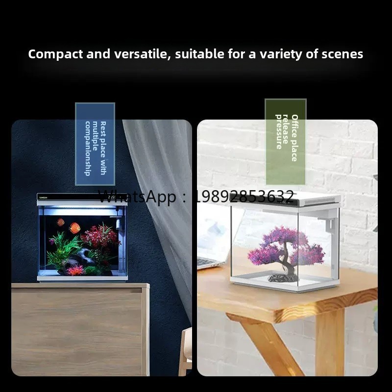 YGG ultraweißes Glas-Aquarium  – Aquarium Fish Without Oxygen Bewertung und Preis