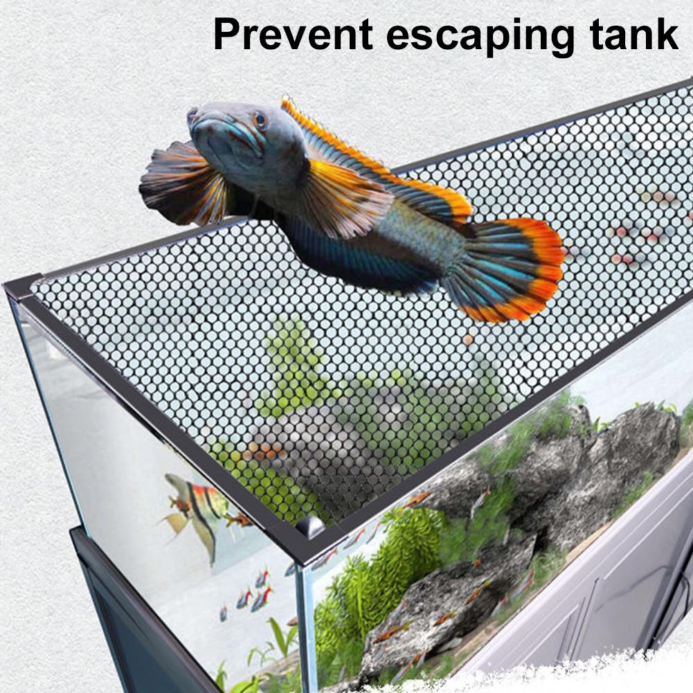 Magnetische Aquariumabdeckung  – Aquarium Fish Jump Guard Bewertung und Preis