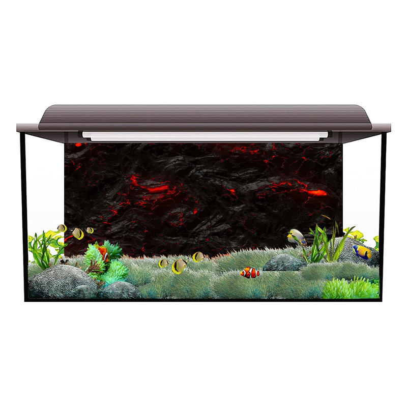 Lavastein Aquarium Hintergrund – Aquarium Fish Wallpaper Hd Bewertung und Preis