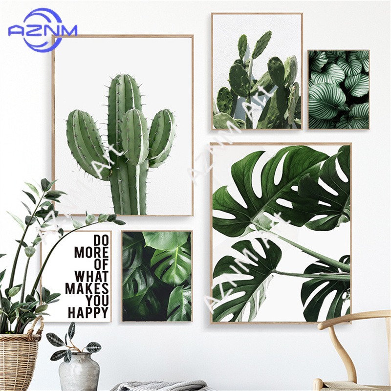 Grünes Pflanzenbild Monstera P – Live Plant Fertilizer Bewertung und Preis