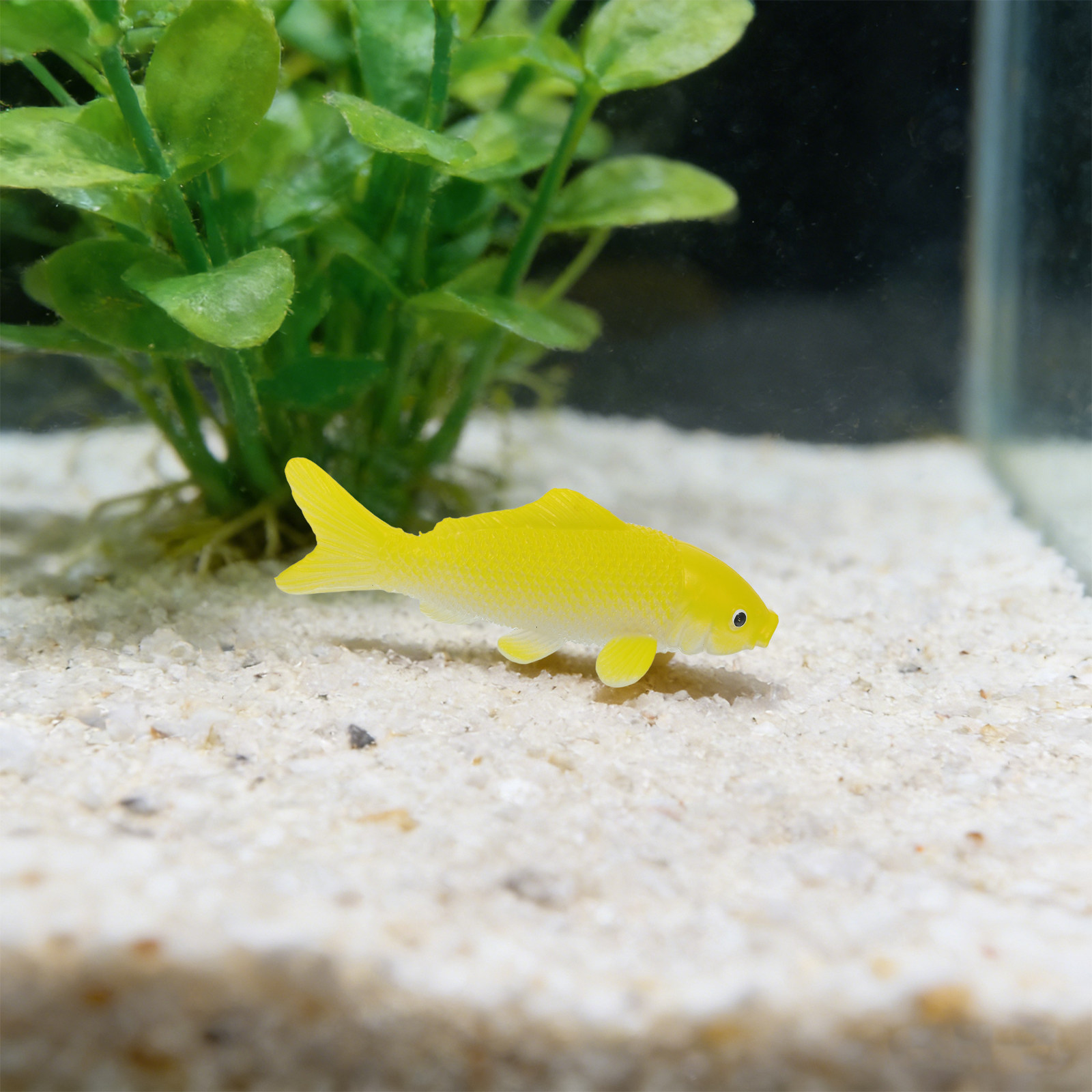 3-teiliges Fisch-Kunsthandwerk – Aquarium Fish Goldfish Bewertung und Preis
