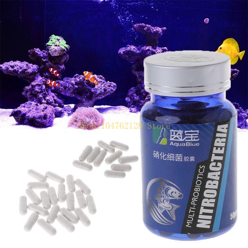 Kapseln mit nitrierenden Bakte – Aquarium Fish Medicine Bewertung und Preis