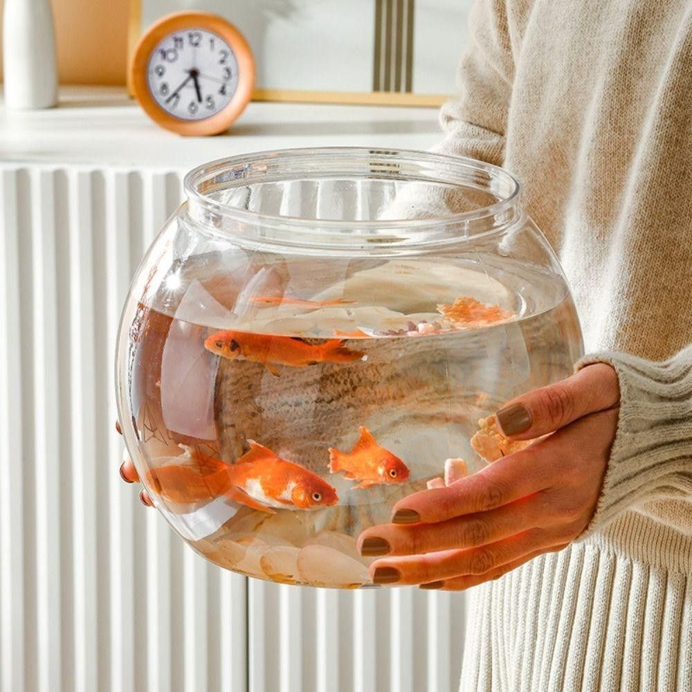 Tragbares Transparentes Fischb – Aquarium Fish Goldfish Bewertung und Preis