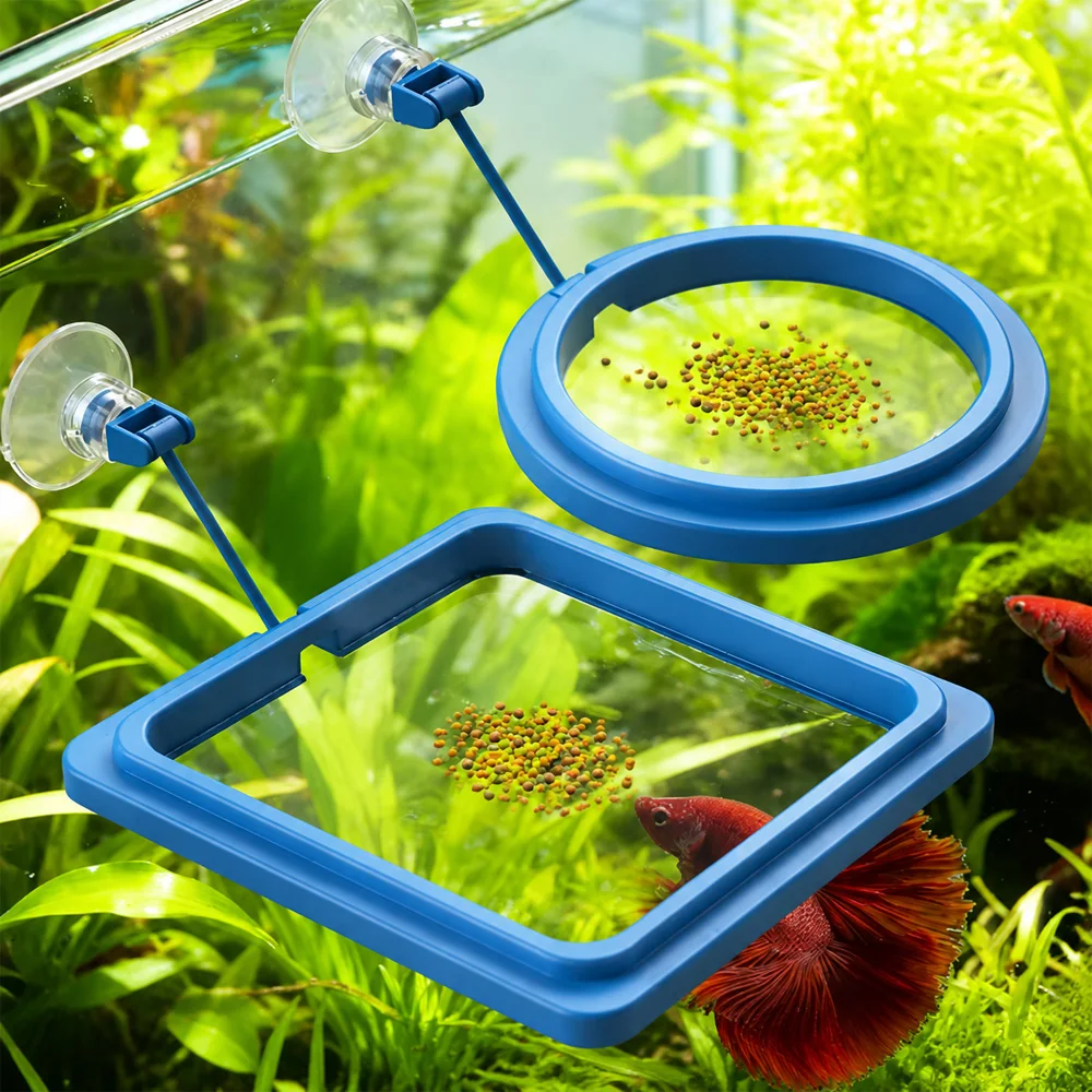 Betta-Fischfutter Schwimmende  – Aquarium Fish Medicine Bewertung und Preis