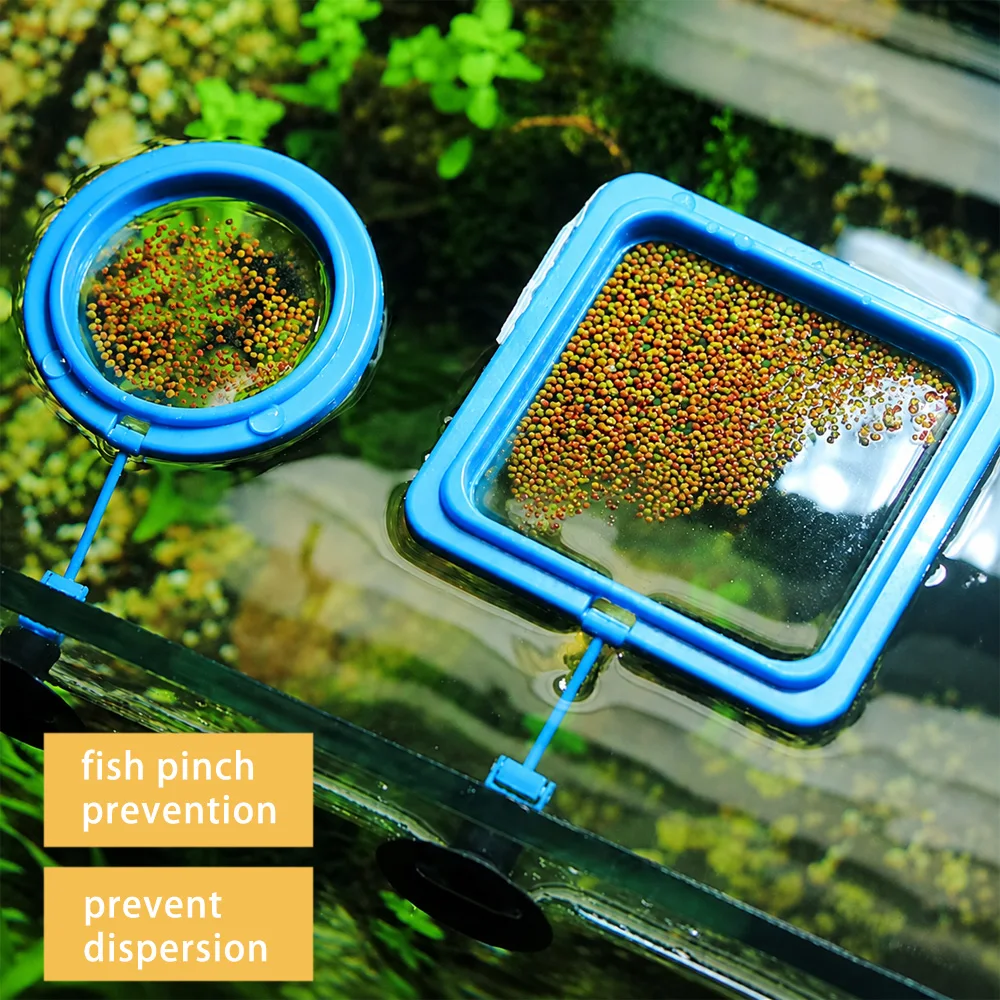 Betta-Fischfutter Schwimmende  – Aquarium Fish Medicine Bewertung und Preis