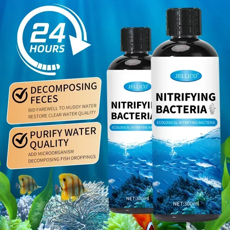 300 ml Nitrifizierende Bakteri – Aquarium Fish Medicine Bewertung und Preis