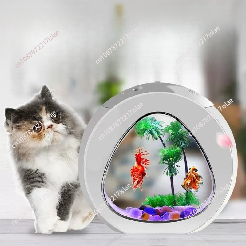 Kleines Desktop-Acryl-Aquarium – Aquarium Fish Goldfish Bewertung und Preis