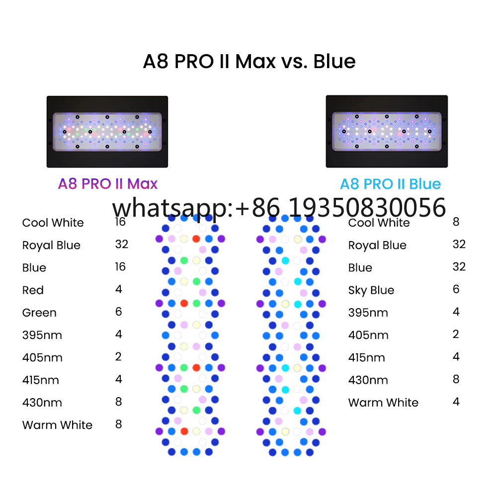 2026-A8 PRO II Max und Blue 24 – Aquarium Fish Saltwater Bewertung und Preis