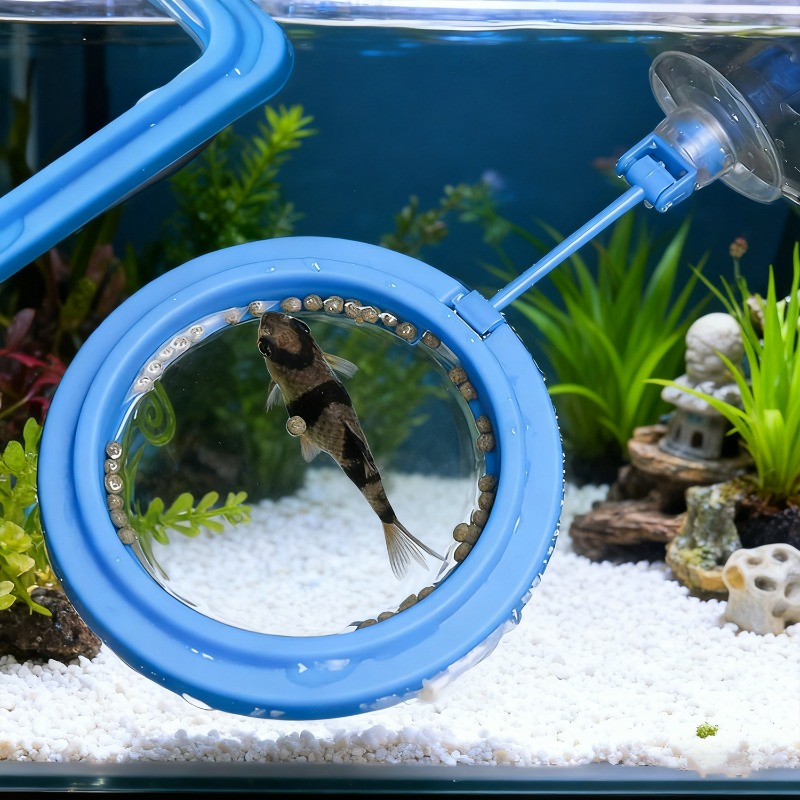 Aquarium Fischfutter-Ringstati – Aquarium Fish Medicine Bewertung und Preis