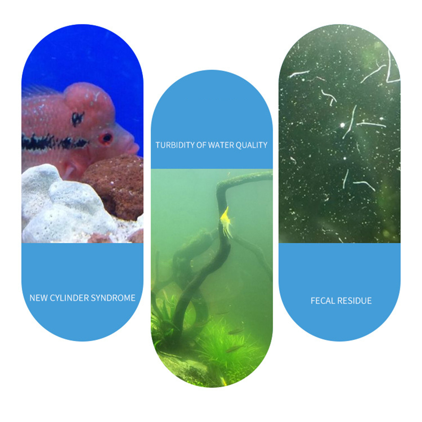 Aquarium-Nitrifying-Nitrobacte – Aquarium Fish Medicine Bewertung und Preis