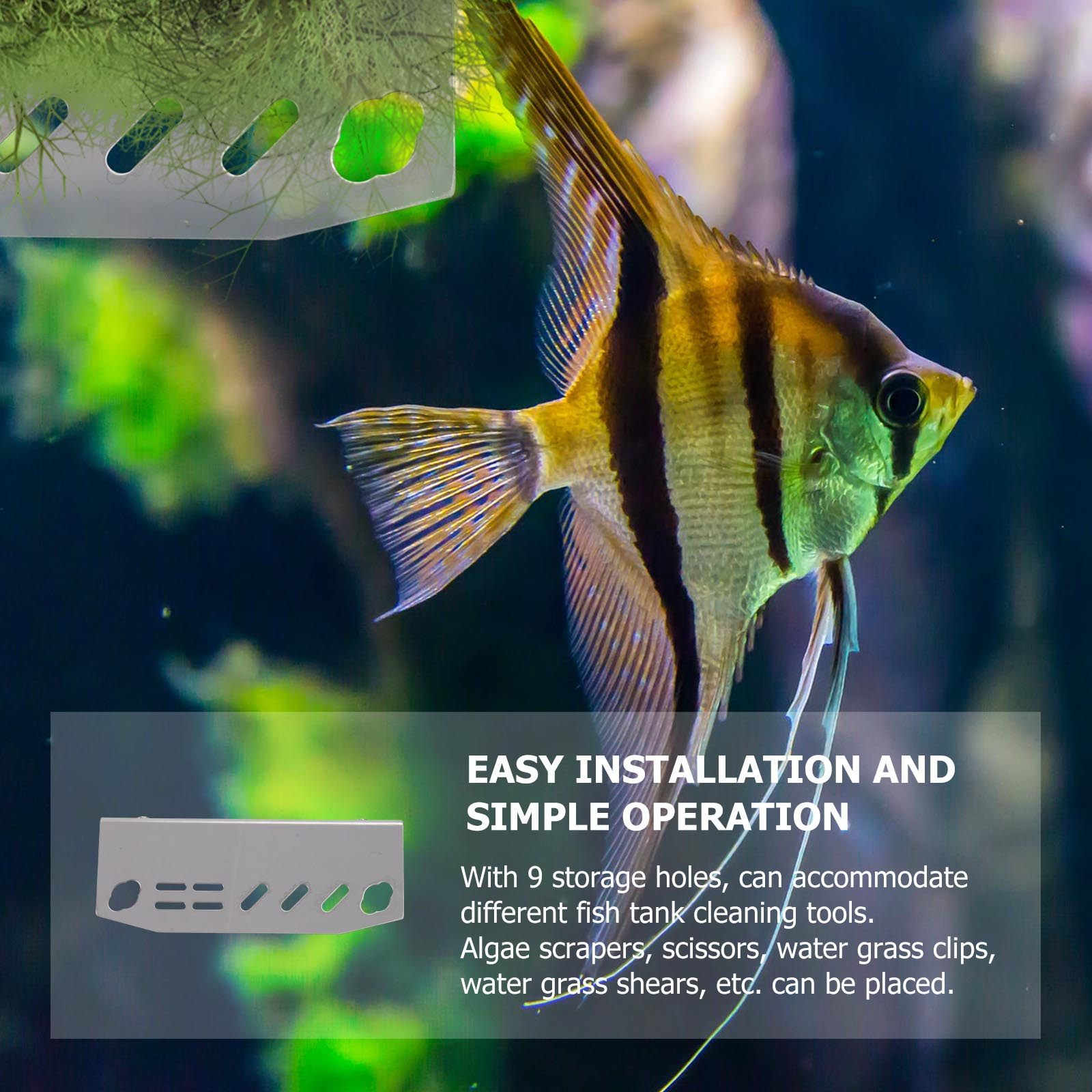1 Stück Aquarium-Werkzeughalte – Aquarium Fish Maintenance Bewertung und Preis