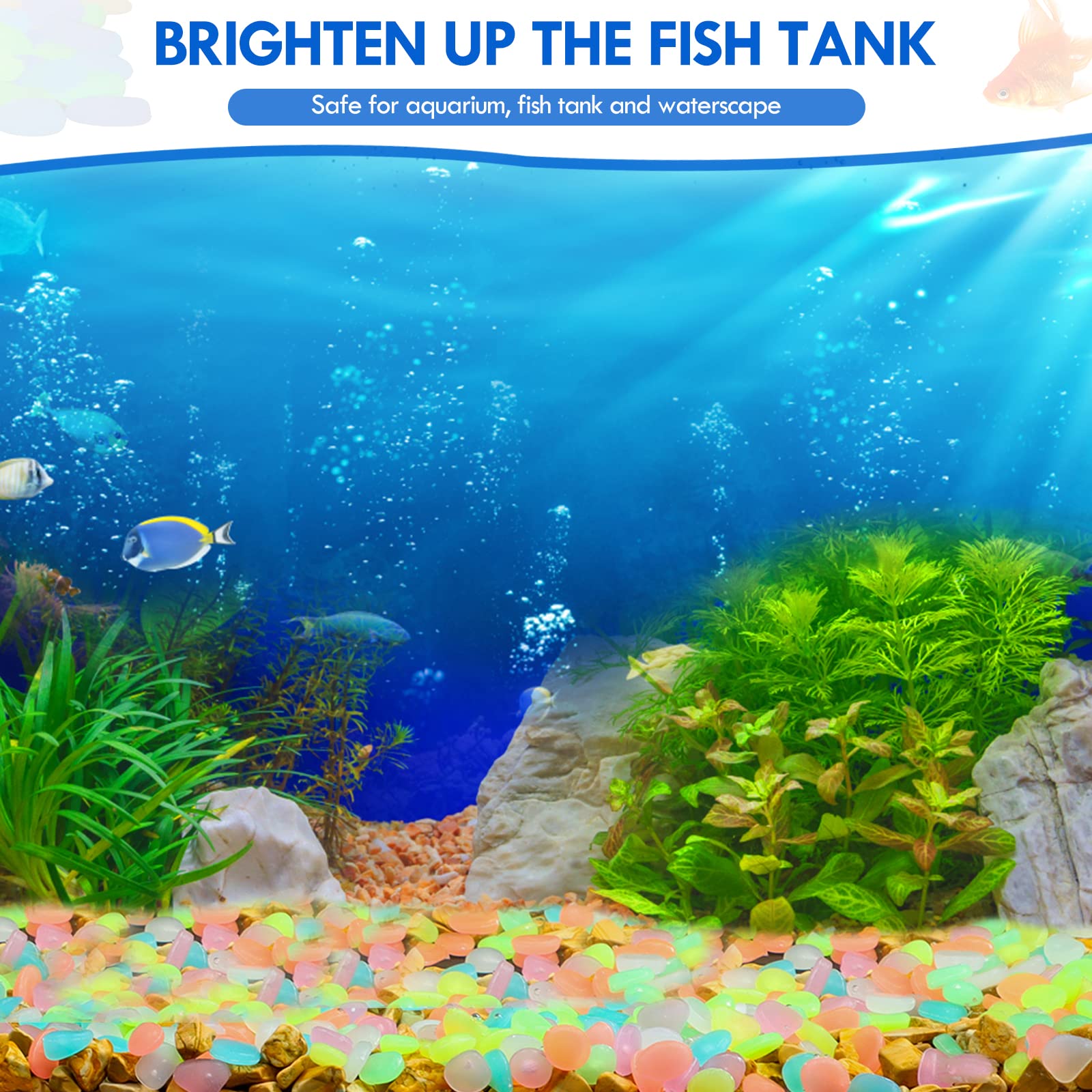 100 Stück im Dunkeln leuchtend – Aquarium Fish Saltwater Bewertung und Preis